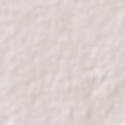 Pabellón de Arteaga Terrain Map