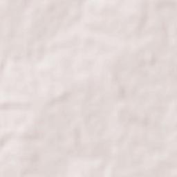 Gharghoda Terrain Map