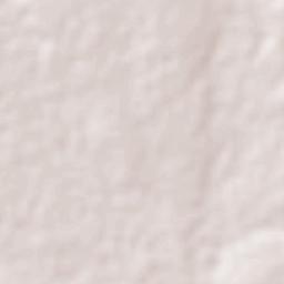 Emiliano Zapata Terrain Map