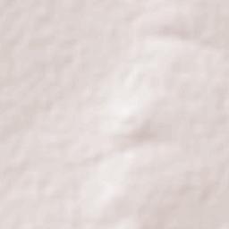 San José de Castellanos Terrain Map