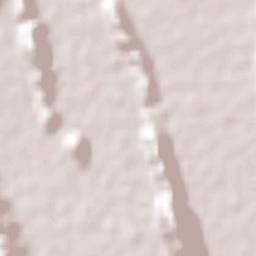 Nuevo Crucitas Terrain Map