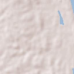 Tampico Alto Terrain Map