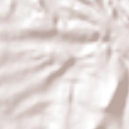 Las Golondrinas [Fraccionamiento] Terrain Map