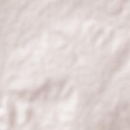 Villa Juárez Terrain Map