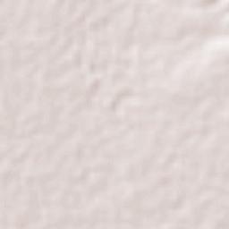 San Francisco Terrain Map