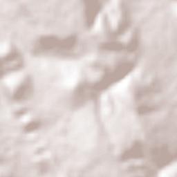 Martinez Terrain Map