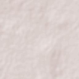 Estación Tamuín Terrain Map