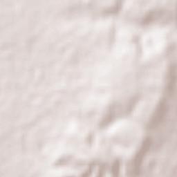 La Escondida Terrain Map