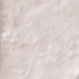 Las Palmas Terrain Map