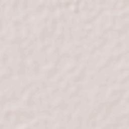 Palma Grande Terrain Map