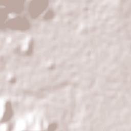 La Reforma Terrain Map