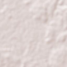 Ciudad Valles Terrain Map