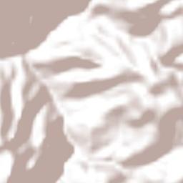 Barranca del Tule Terrain Map