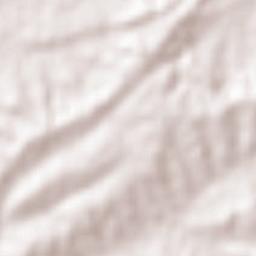 Macario J. Gómez [Colonia] Terrain Map