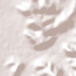 Ojo de Agua de Crucitas Terrain Map