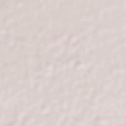 Laguna de San Vicente Terrain Map