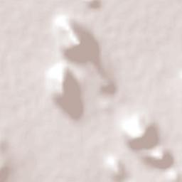 Cerro Gordo Terrain Map