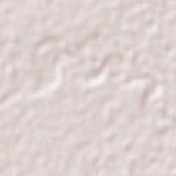 Colonia Veinte de Noviembre Terrain Map