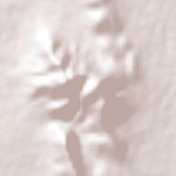 Santa Rita Terrain Map