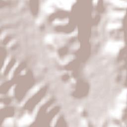 Higinio Olivo Terrain Map