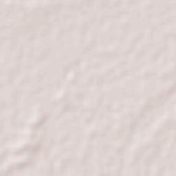 Cuamiles Terrain Map