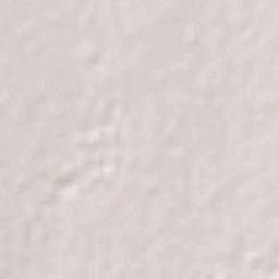 Santa Rosa (El Huizache) Terrain Map