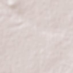 Emiliano Zapata Terrain Map