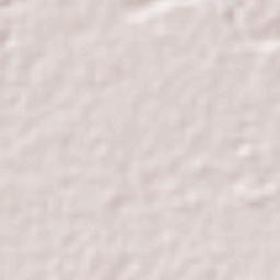 Rioverde Terrain Map