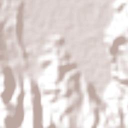 Tamasopo Terrain Map