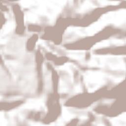 Tuxpan de Bolaños Terrain Map