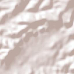 Ojocaliente Terrain Map