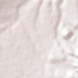 General Ignacio Zaragoza Terrain Map