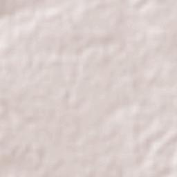 La Loma de los Negritos Terrain Map