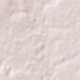 San Ignacio Terrain Map