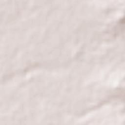 Aguascalientes Terrain Map