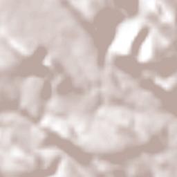 Enramadas Terrain Map