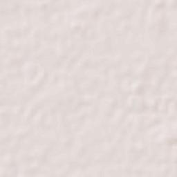 Janjgir-Champa Terrain Map