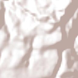 Cocuasco Terrain Map