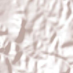 El Cuervero (Cuerveros) Terrain Map