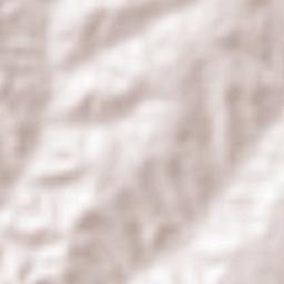 Villa Licenciado Jesús Terán (Calvillito) Terrain Map