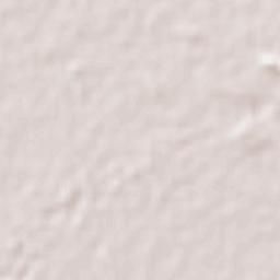 Santiago Ixcuintla Terrain Map