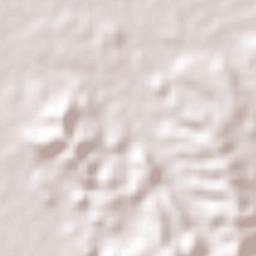 El Tizate Terrain Map