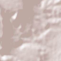 Totatiche Municipality Terrain Map