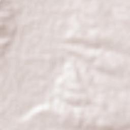 Tlaltenango de Sánchez Román Terrain Map