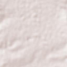 Arellano Terrain Map