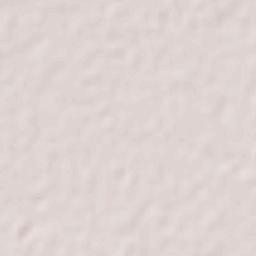 El Torreón Terrain Map