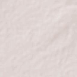 Laguna de Guadalupe Terrain Map