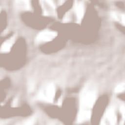 Santa María del Río Terrain Map