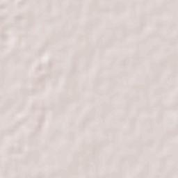 Villa Hidalgo Terrain Map