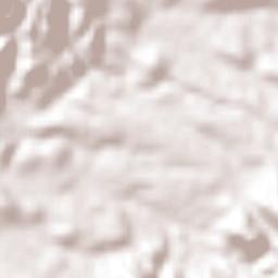 Jaltiche de Arriba Terrain Map